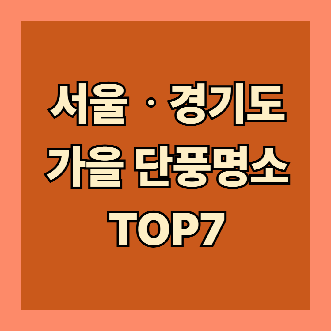 2025년 서울 경기도 가을 단풍명소 TOP7