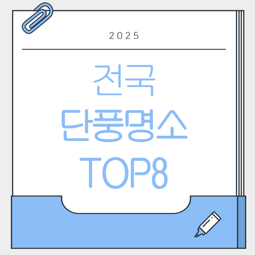2025 단풍명소 TOP8