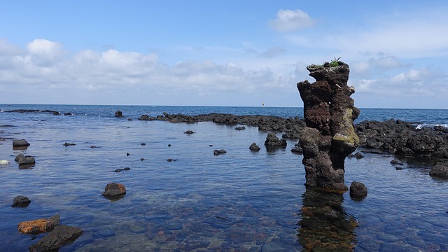 제주도 바다 사진