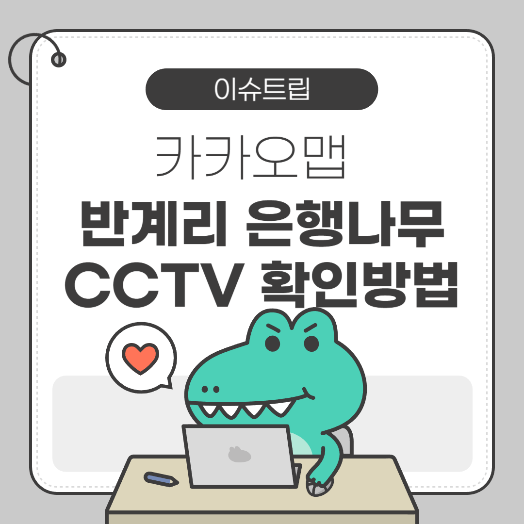반계리 은행나무 CCTV 확인 방법 카카오맵