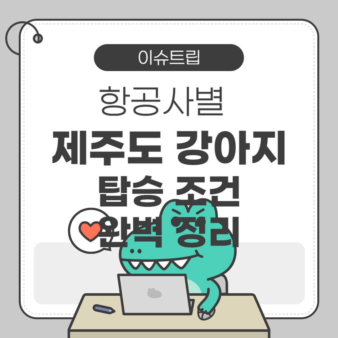 항공사별 제주도 강아지 탑승 조건 완벽정리