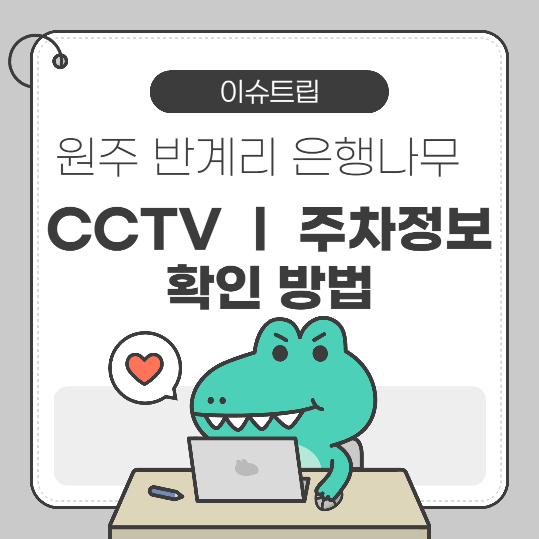 원주 반계리 은행나무 CCTV 및 주차정보 확인 방법