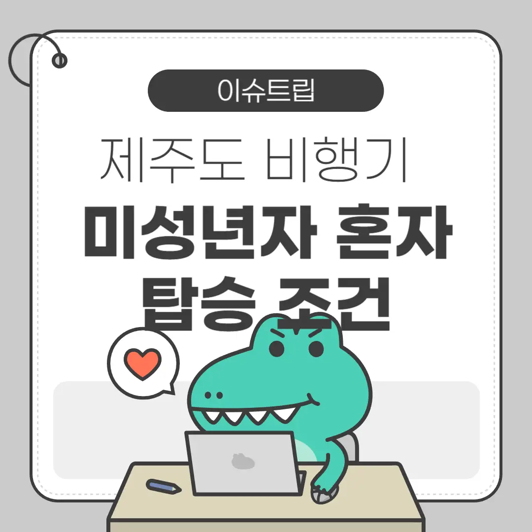 제주도 비행기 미성년자 혼자 탑승 조건 포스터