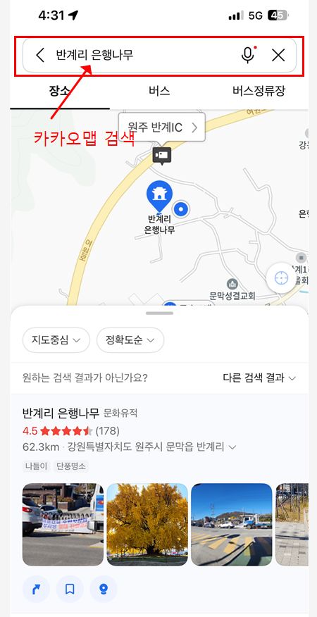 원주 반계리 은행나무 CCTV 모바일버전 확인 방법 1