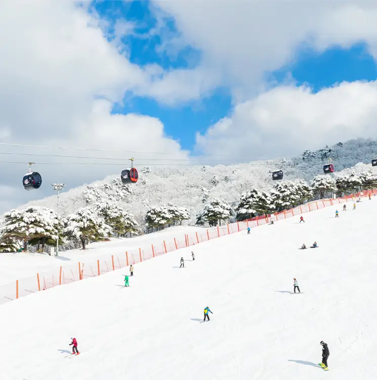 2026 스키장 개장 모습