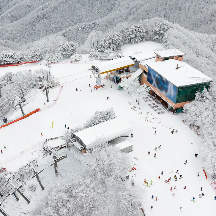 비발디파크 스키장 슬로프