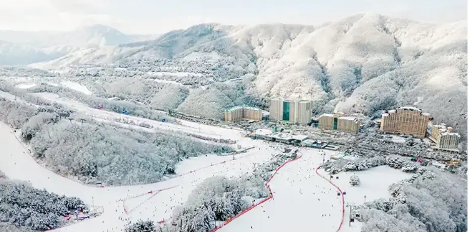 비발디파크 스키장 전경사진