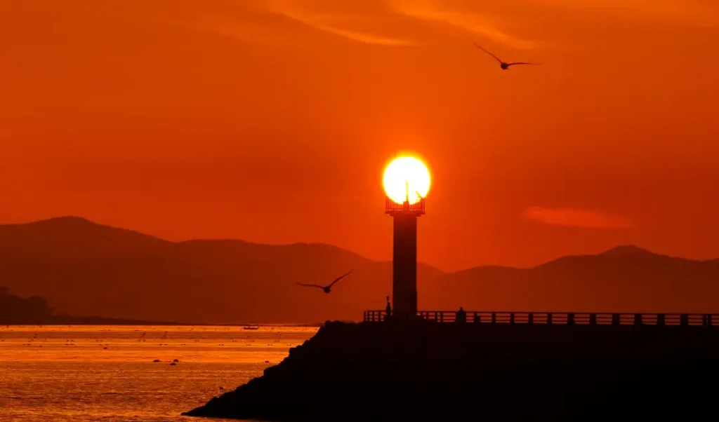 서천 마량진항 서해 일출