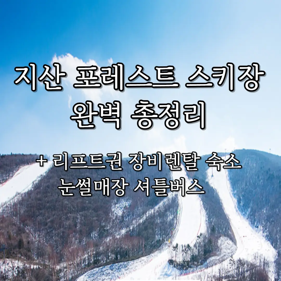 지산 포레스트 스키장 포스터