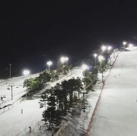 지산 포레스트 스키장 야간 장면