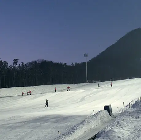 지산 포레스트 스키장 야간 스키 장면