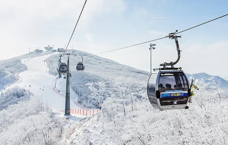 하이원 스키장 곤돌라