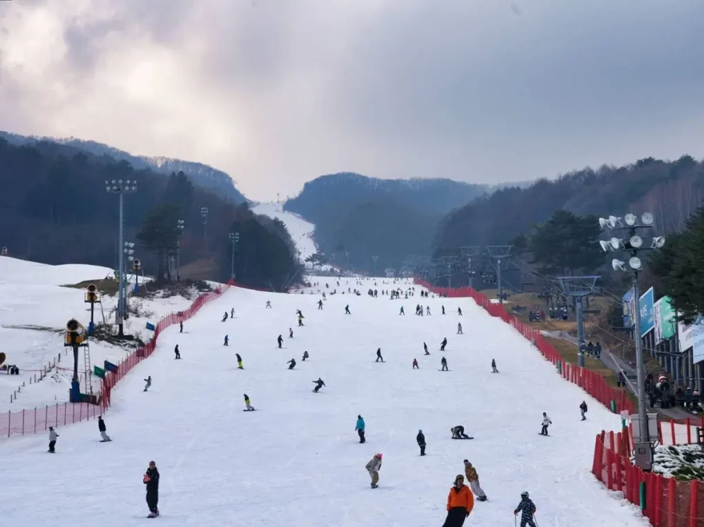 2026 스키장 모습