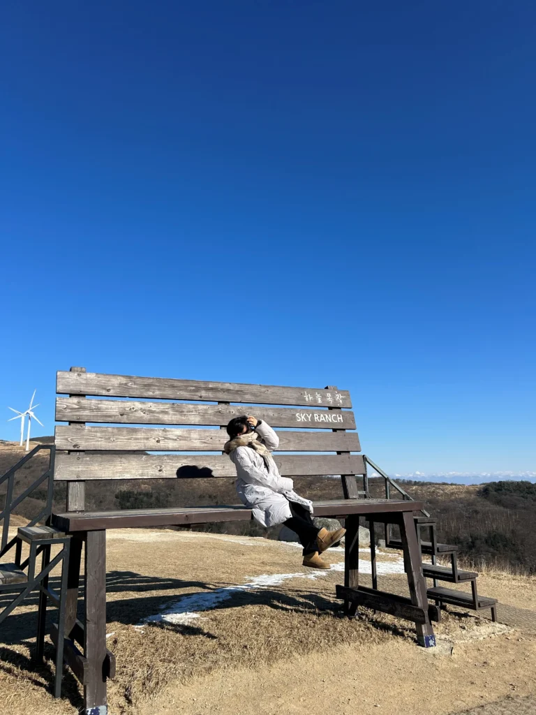 대관령 하늘목장 사진 스팟