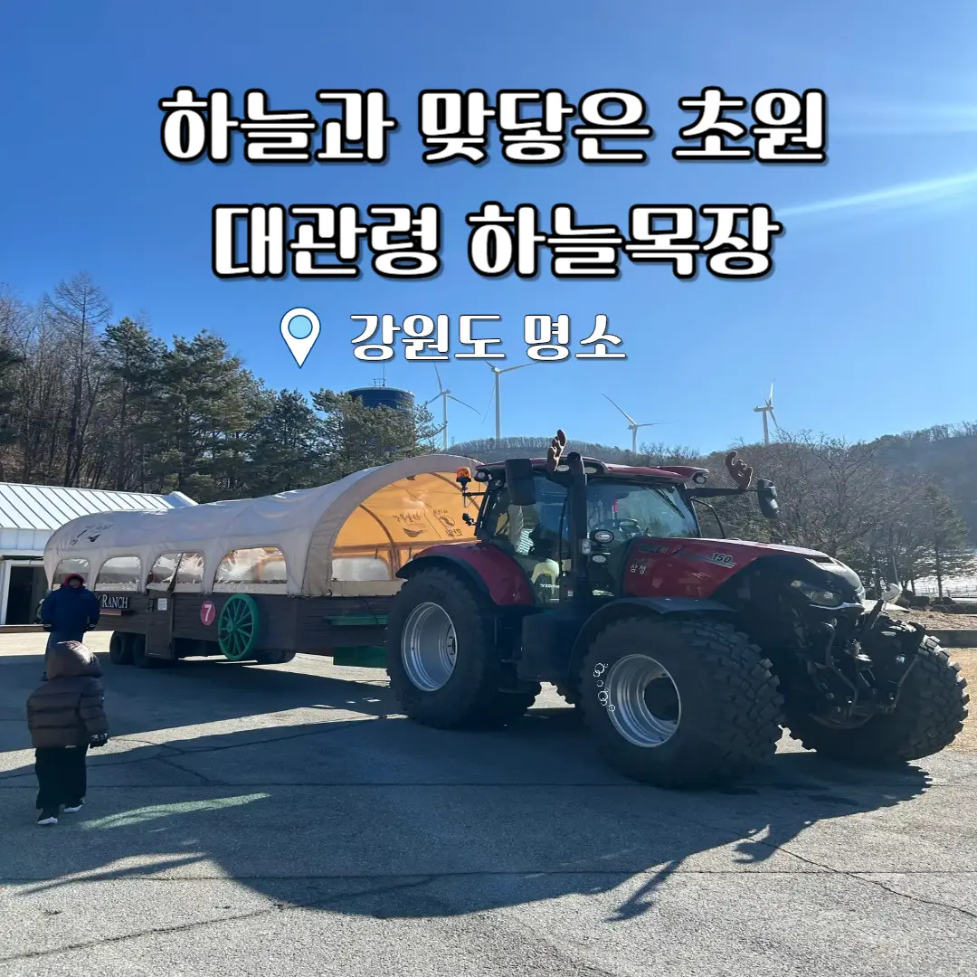 대관령 하늘목장 트랙터마차 포스터