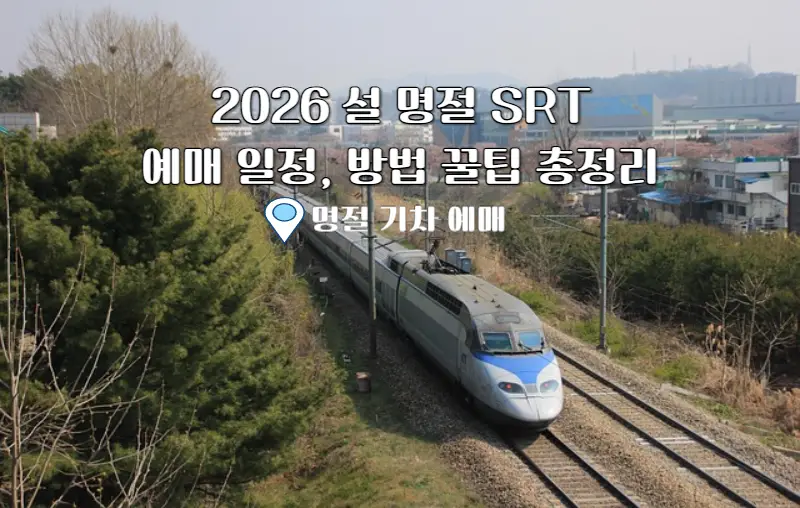 SRT 설날 기차표 예매 방법