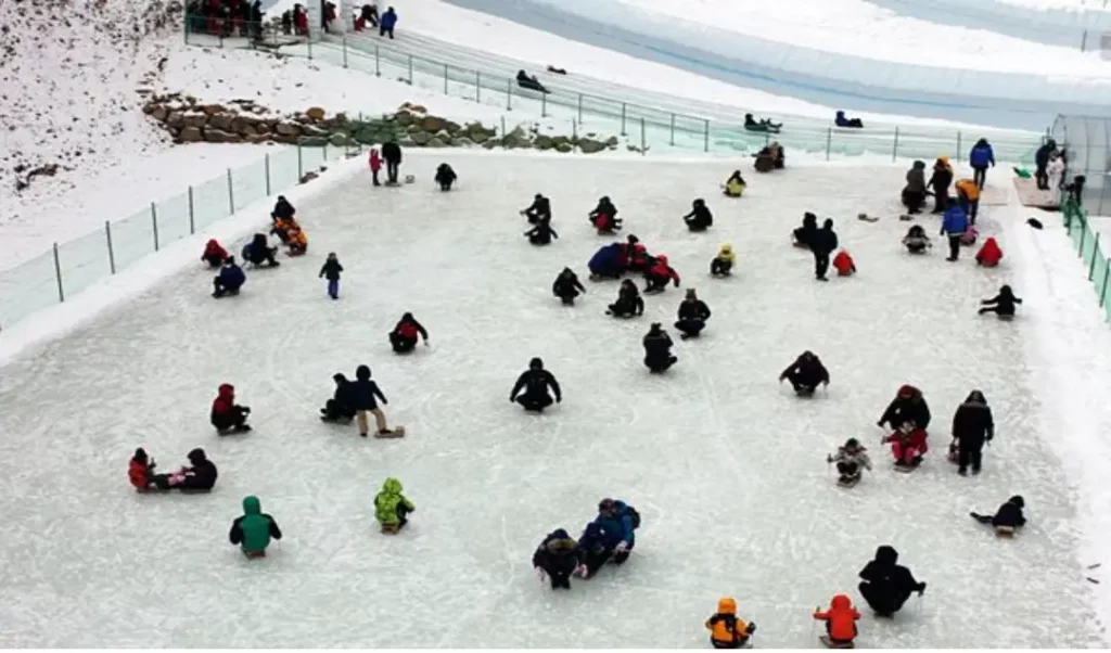 청양 알파스마을 썰매 사진