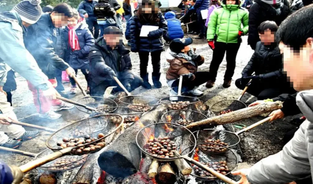 청양 알프스 군밤굽기 사진
