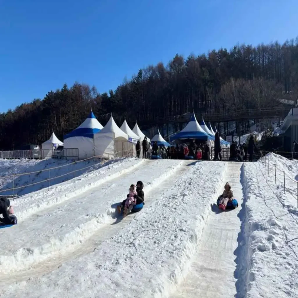 태백산 눈축제 기본정보 및 눈썰매장