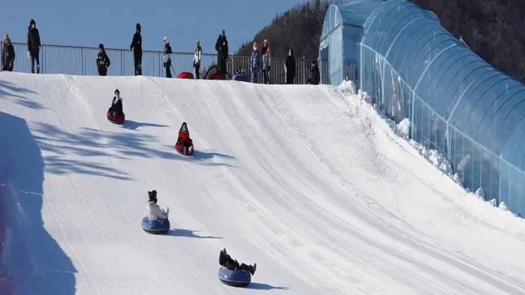 평창송어축제 2026 눈썰매장