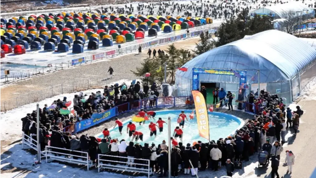 평창송어축제 2026 송어 맨손잡이