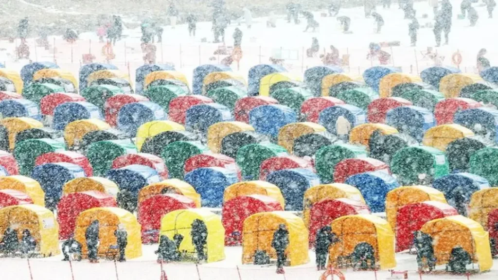 평창송어축제 2026 텐트낚시