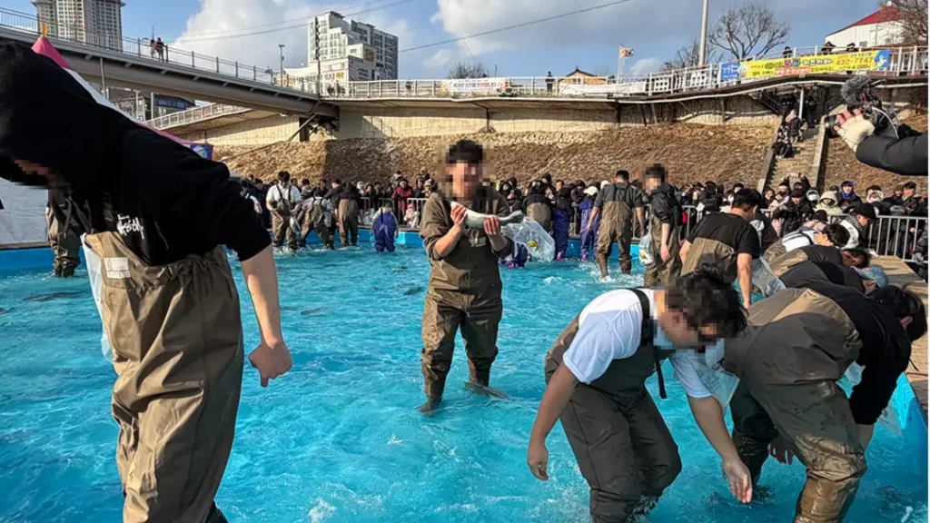 홍천강 꽁꽁축제 2026 맨손잡이 낚시